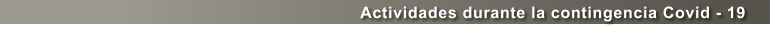 Actividades durante la contingencia Covid - 19